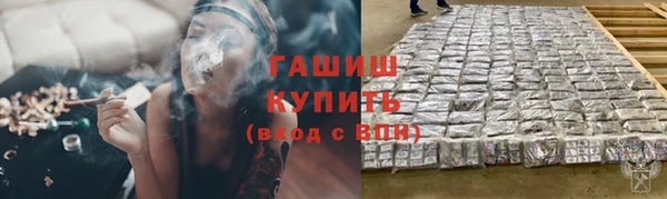стаф Алзамай