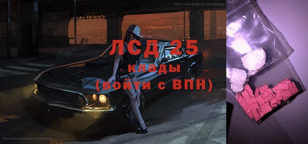 стаф Алзамай