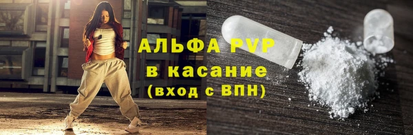 стаф Алзамай