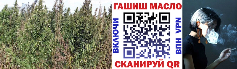 где можно купить   Алейск  ТГК гашишное масло 