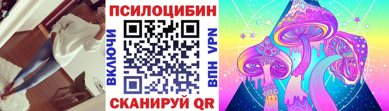 кракен вход  Алейск  Псилоцибиновые грибы прущие грибы 
